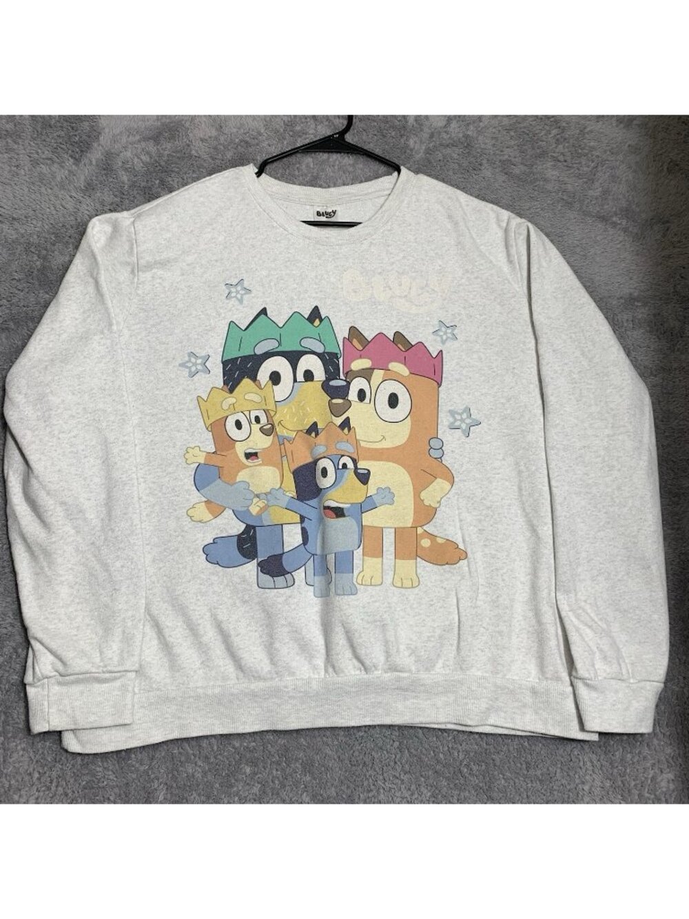 Bluey Adult Grey Sweatshirt Sz XXL Featuring Best Buddies Front & Back Graphic